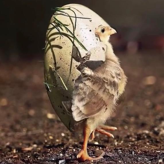 小屁孩一个