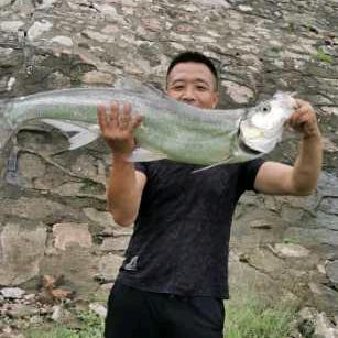 飞哥