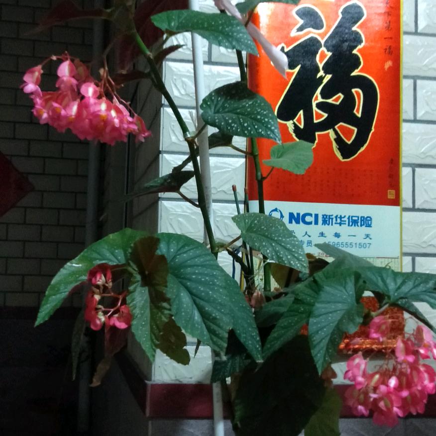 知