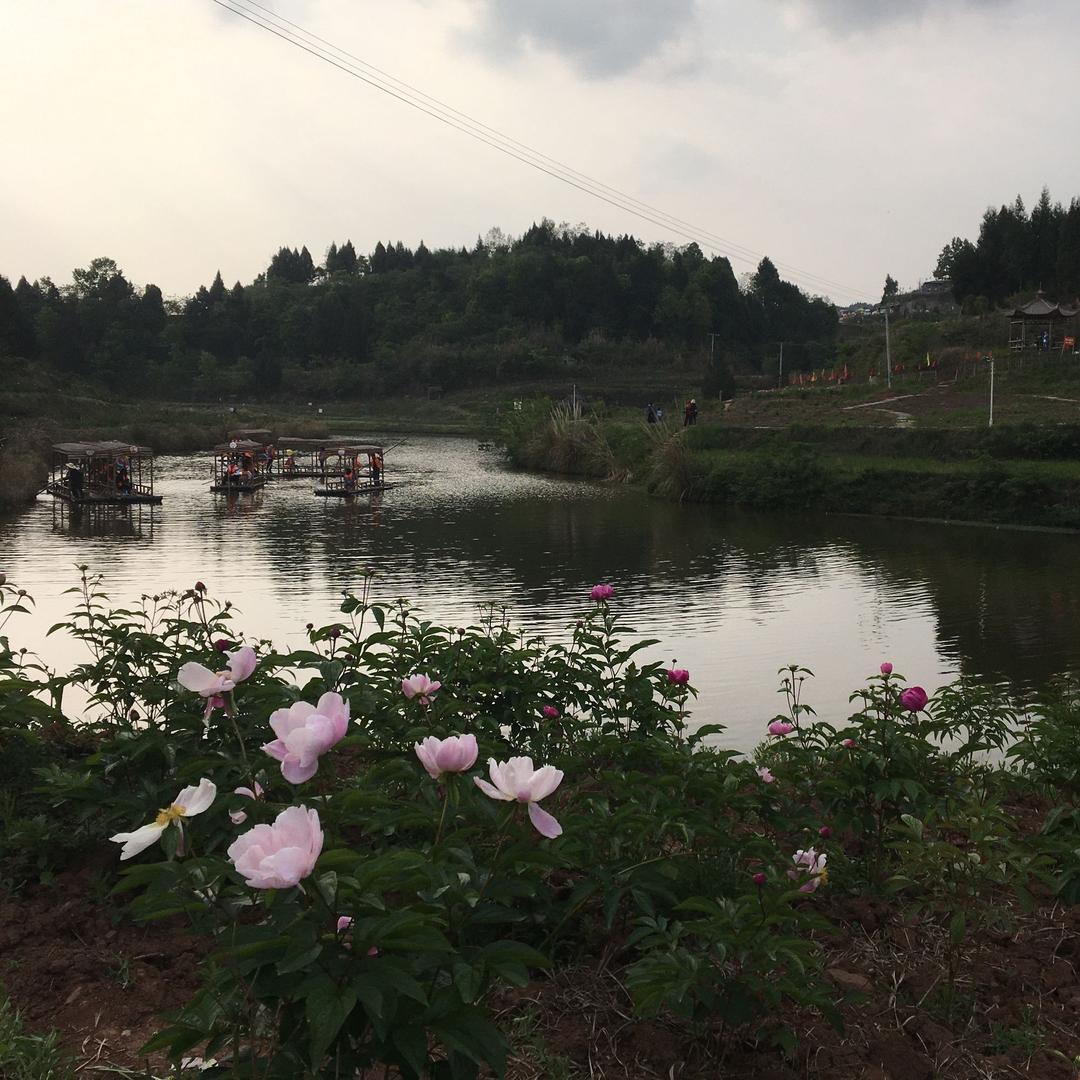 山青水秀