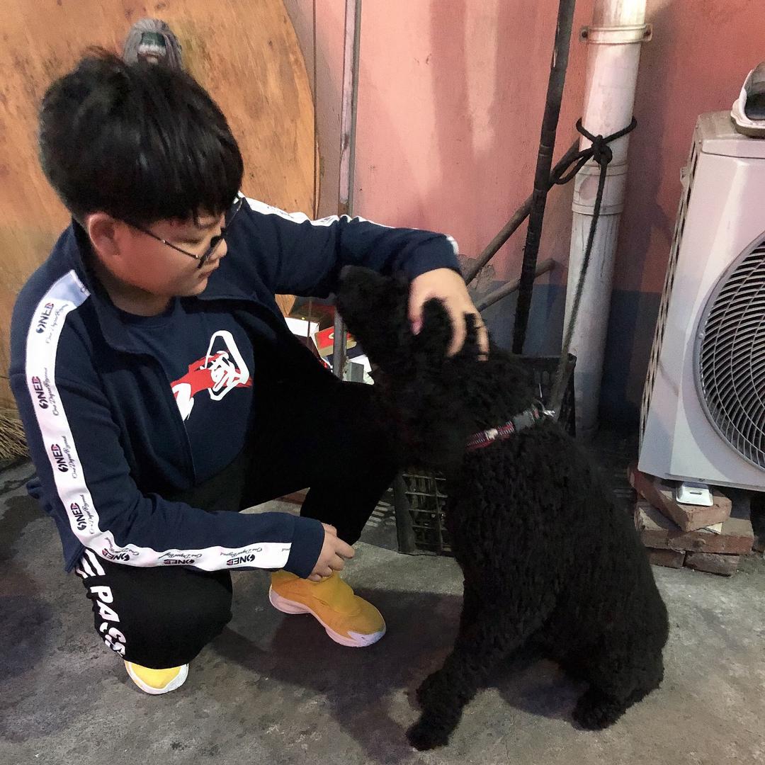 睡了吃吃了睡