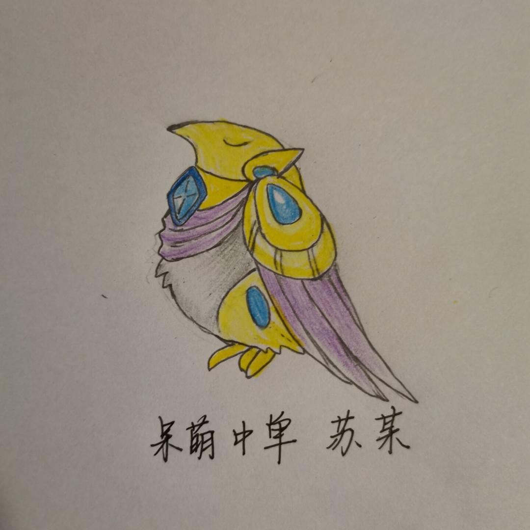 珂仝小朋友（专心考研版）