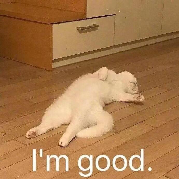 忘忧草。