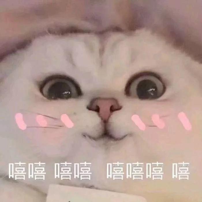 杨三岁