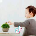 卜卜安