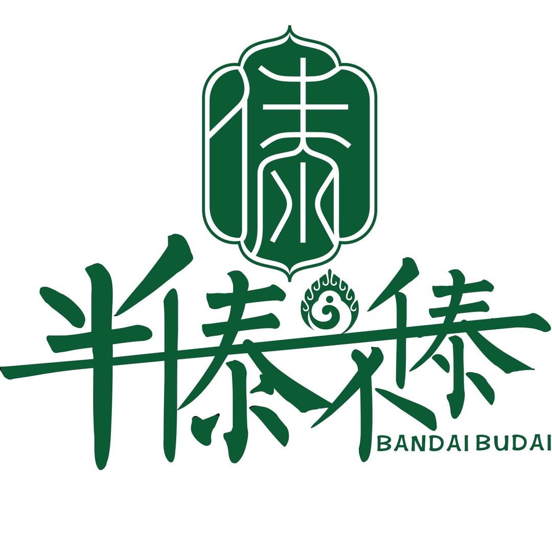 半傣不傣