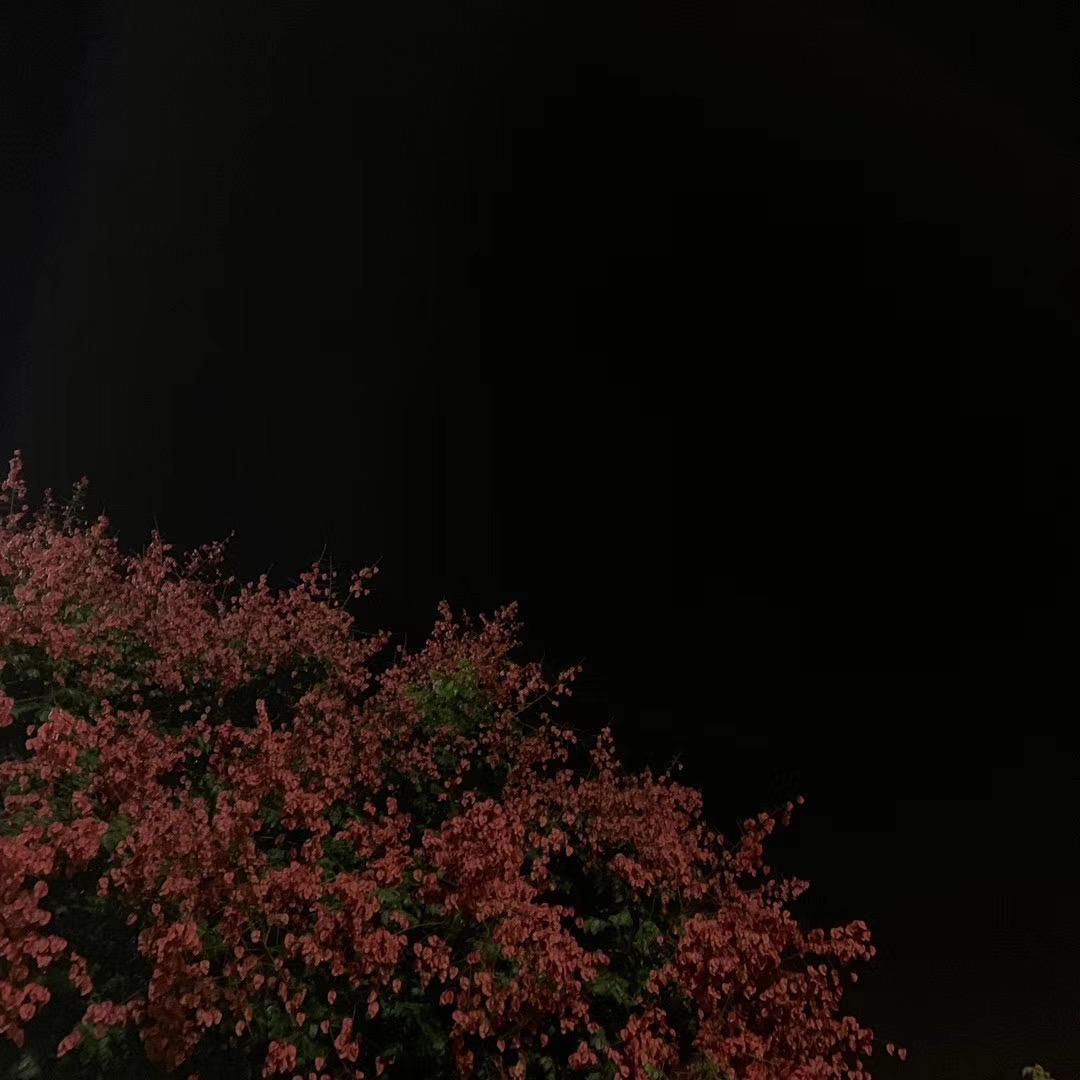 赵前前