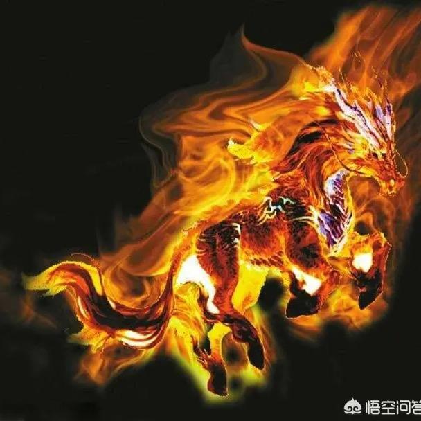 盛世先生