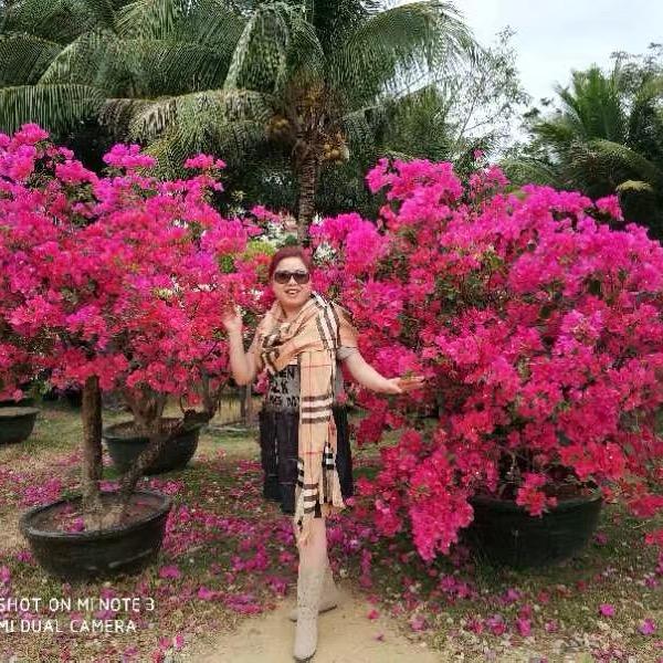 洋静阁女装