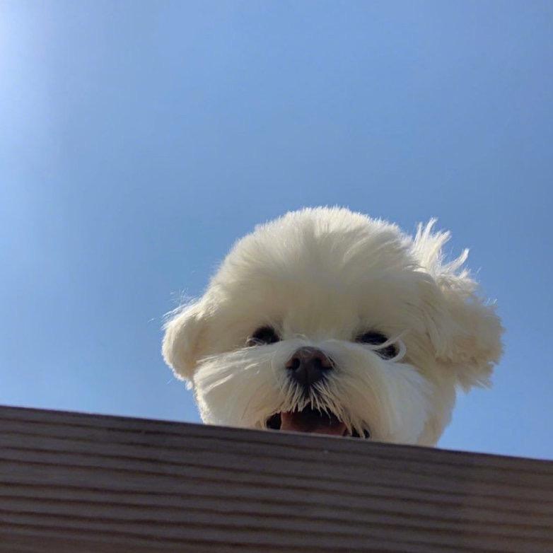 诗魂