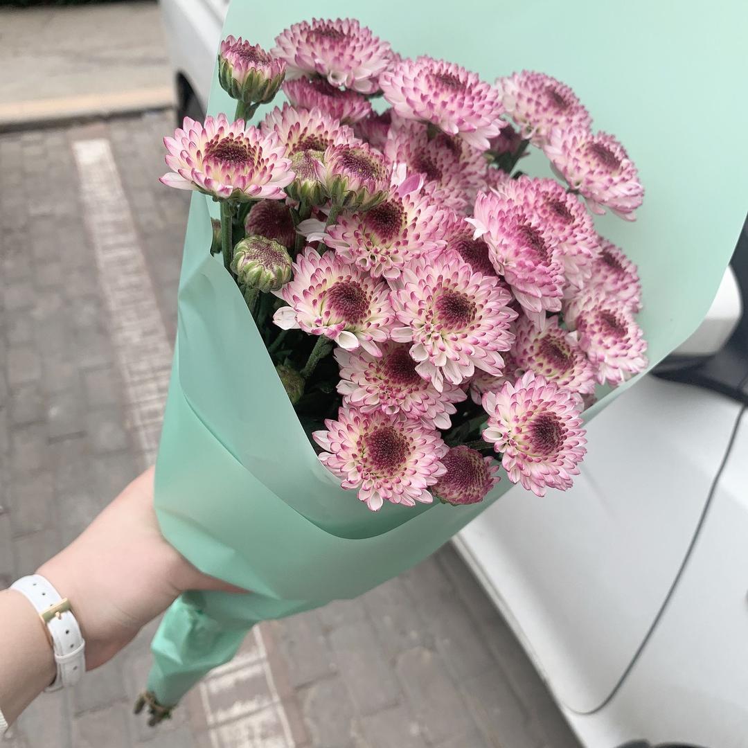 菲