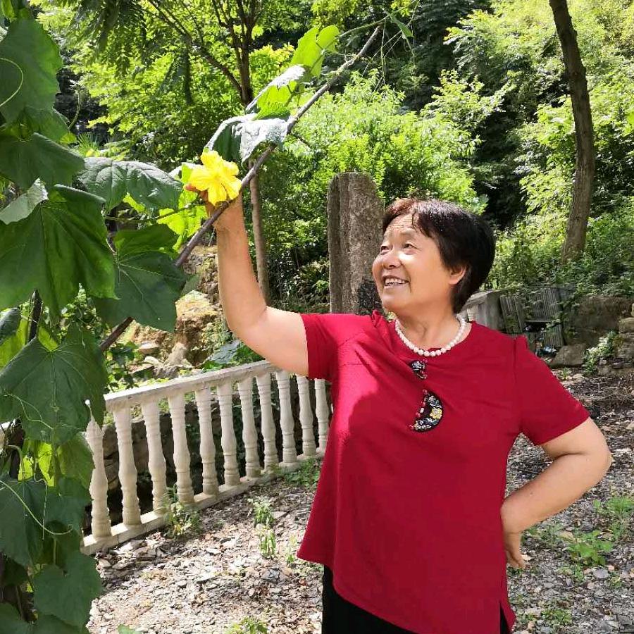 二婆婆