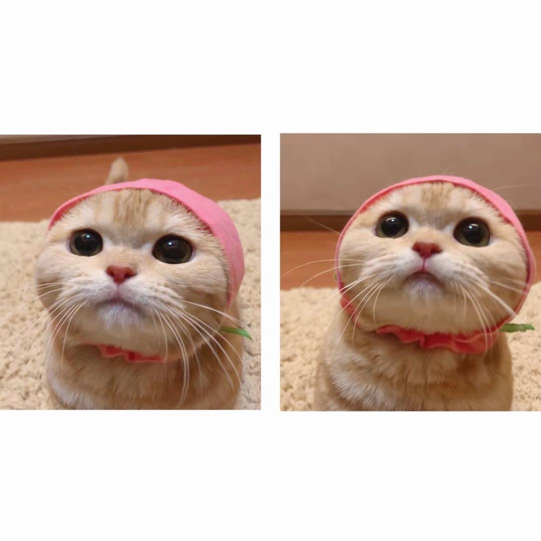 🌈糖