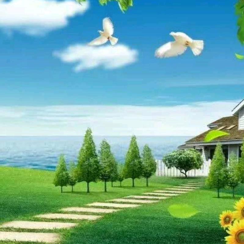 小蜜蜂壹号农场