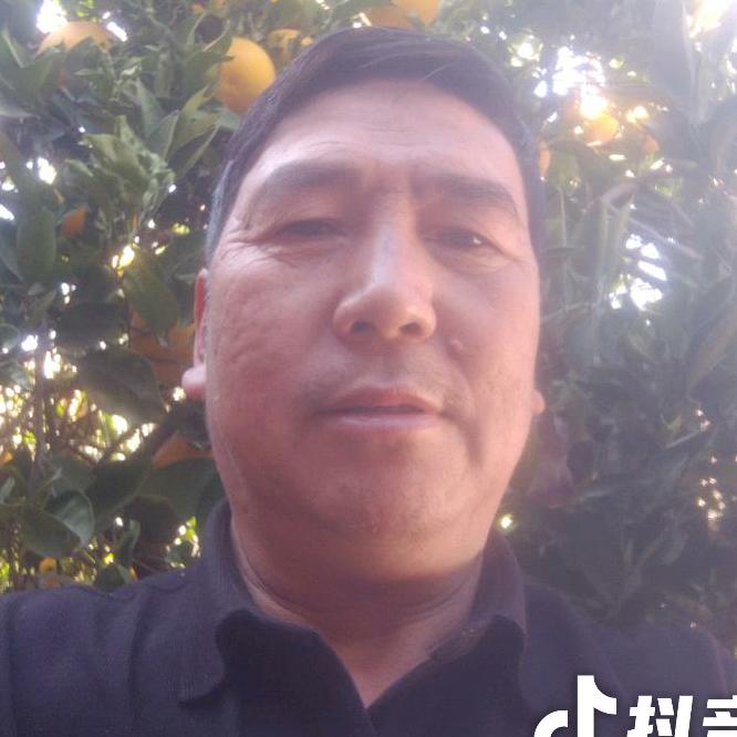 南雁向北