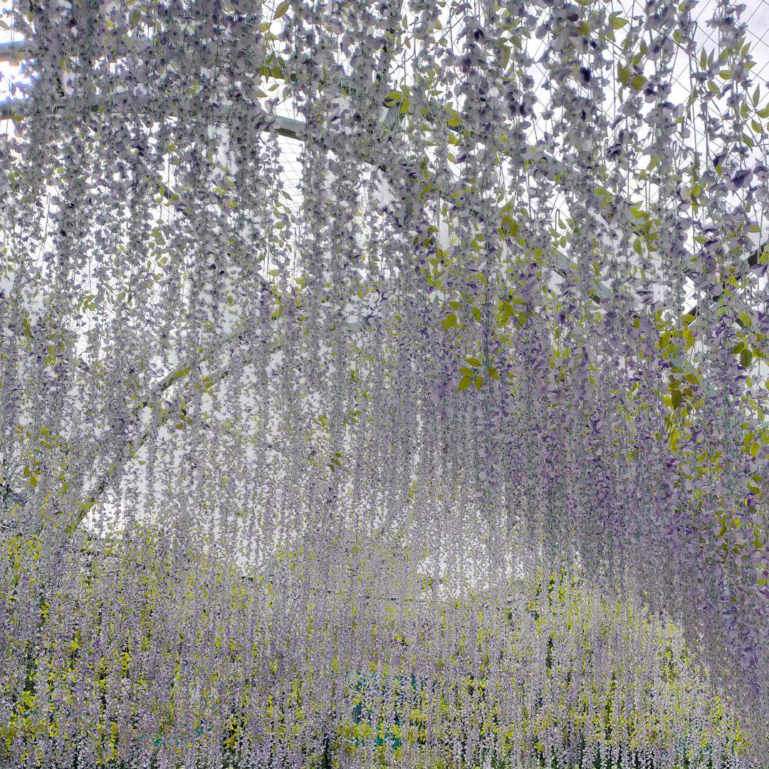 ヽ(爱´∀‘爱)ノ回忆