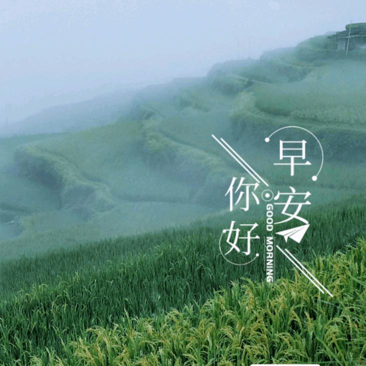 锅盔夹凉粉