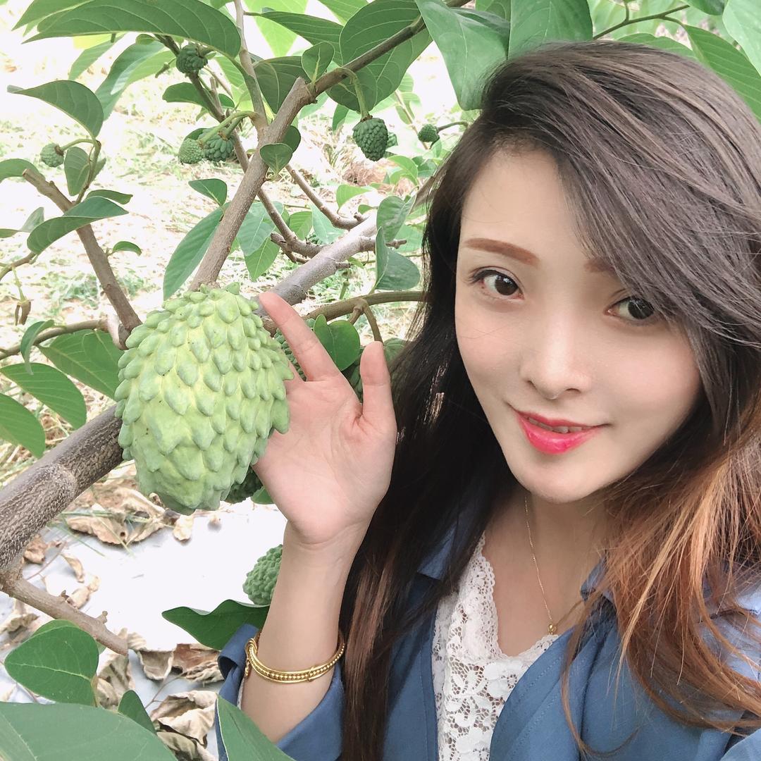 攀枝花静果果农业