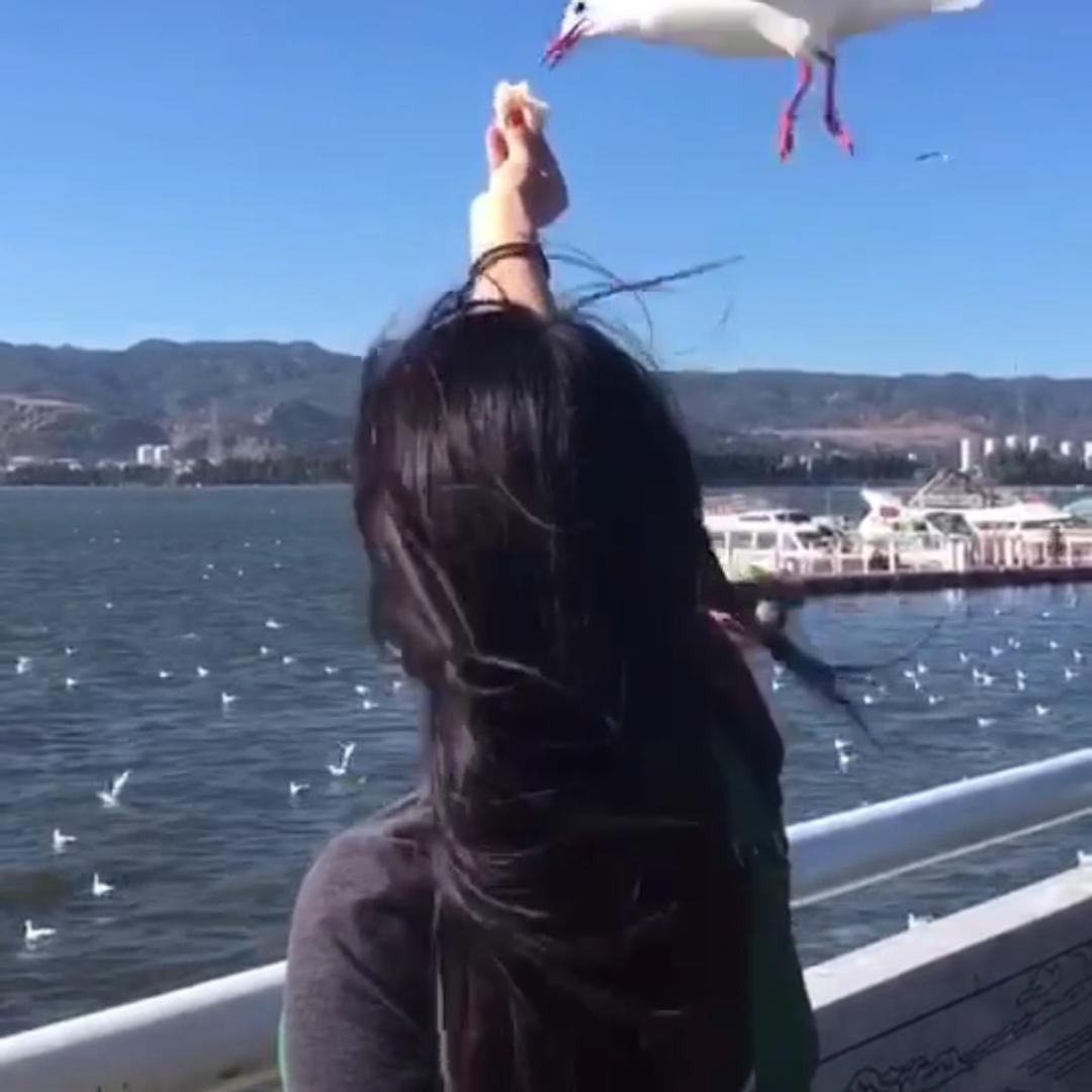 许久未见