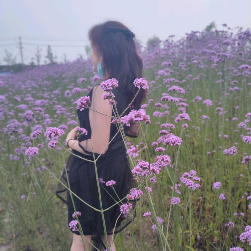 杨家二姐