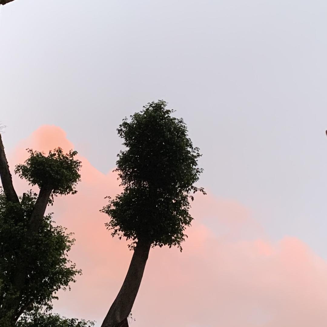 漫dei