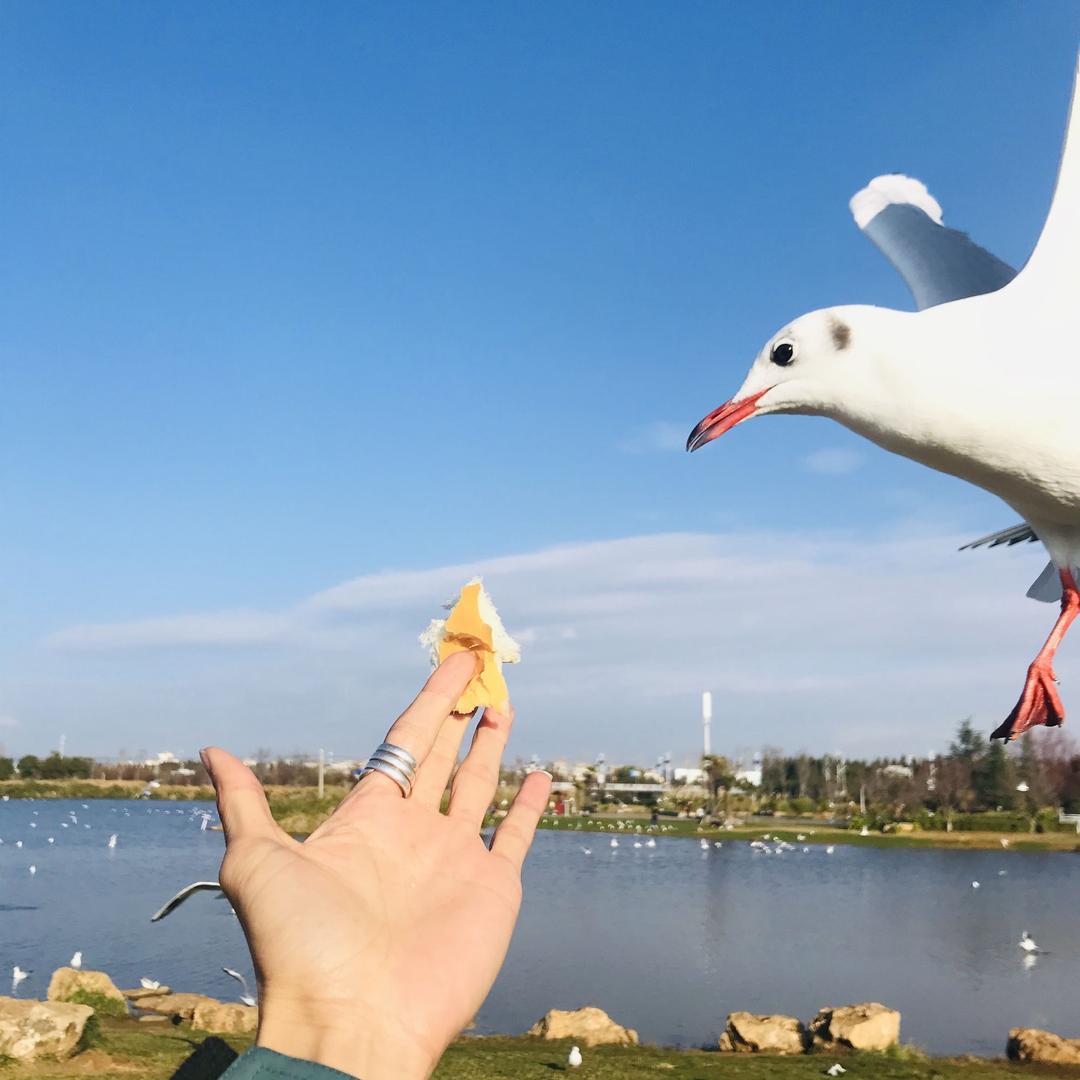 小宇宙😊