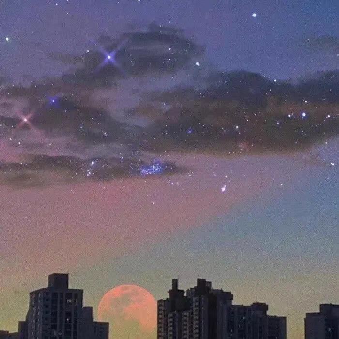 小满和夏.🤎