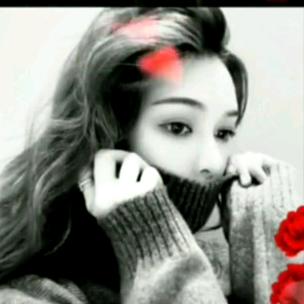 用户四字下面加一夕