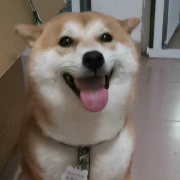 我们和阳光