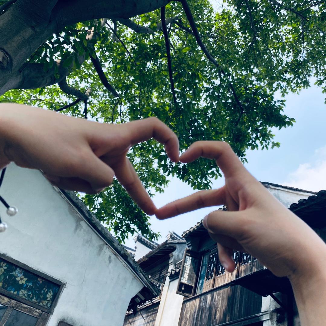 燕子YYZz