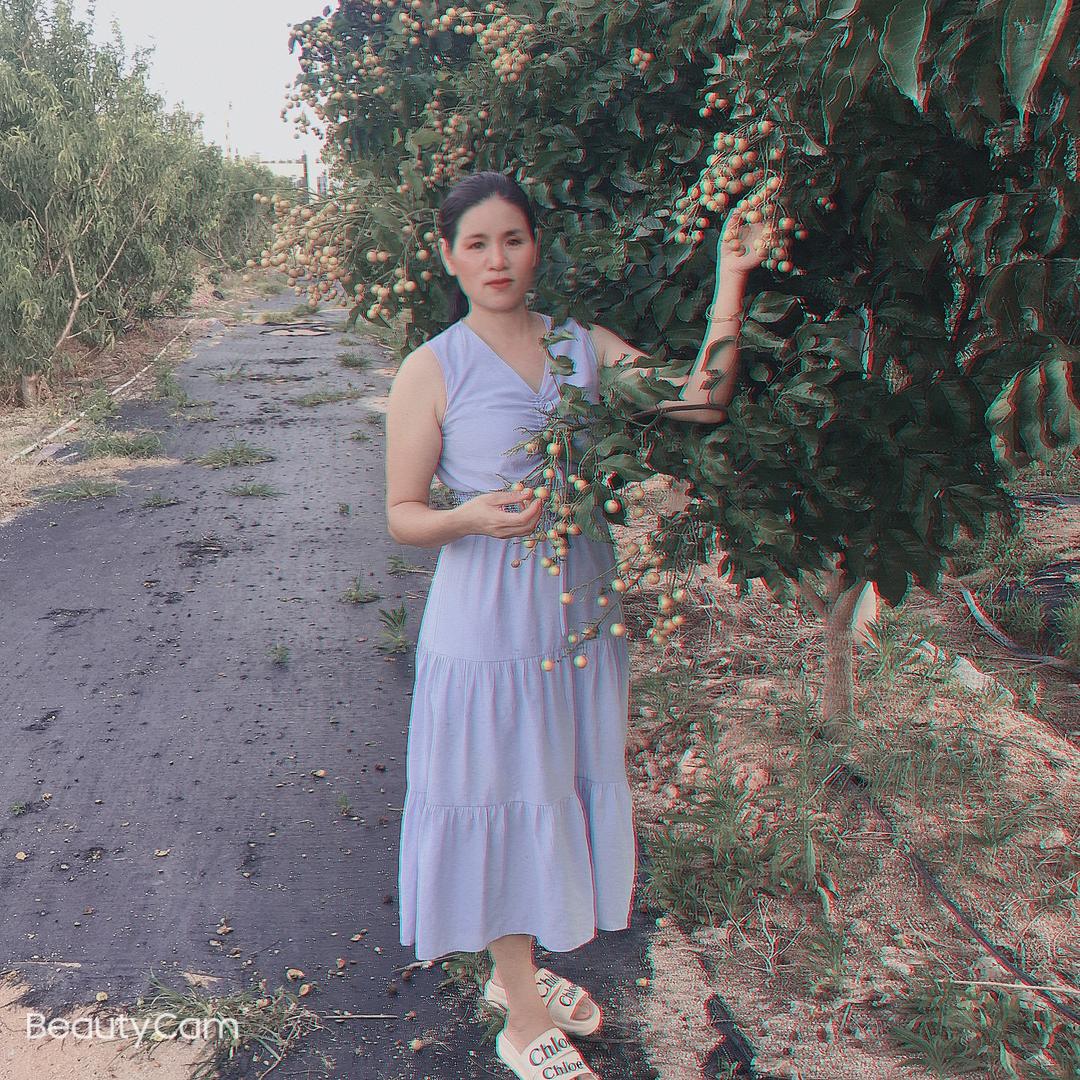 心静转菩提
