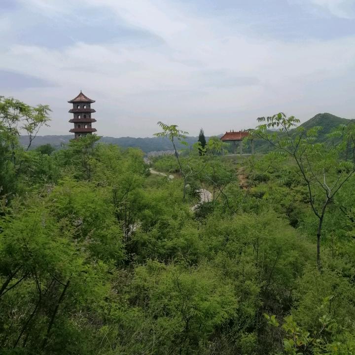 美眉