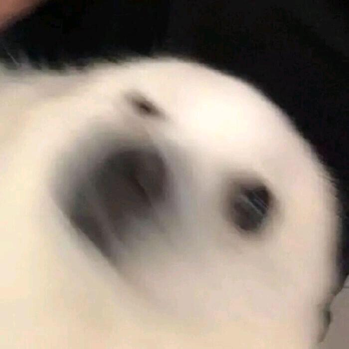 少了只袜子