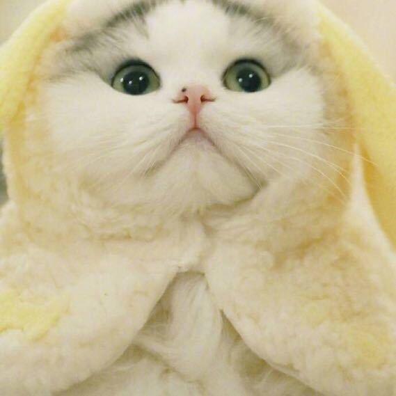 咔咔沫