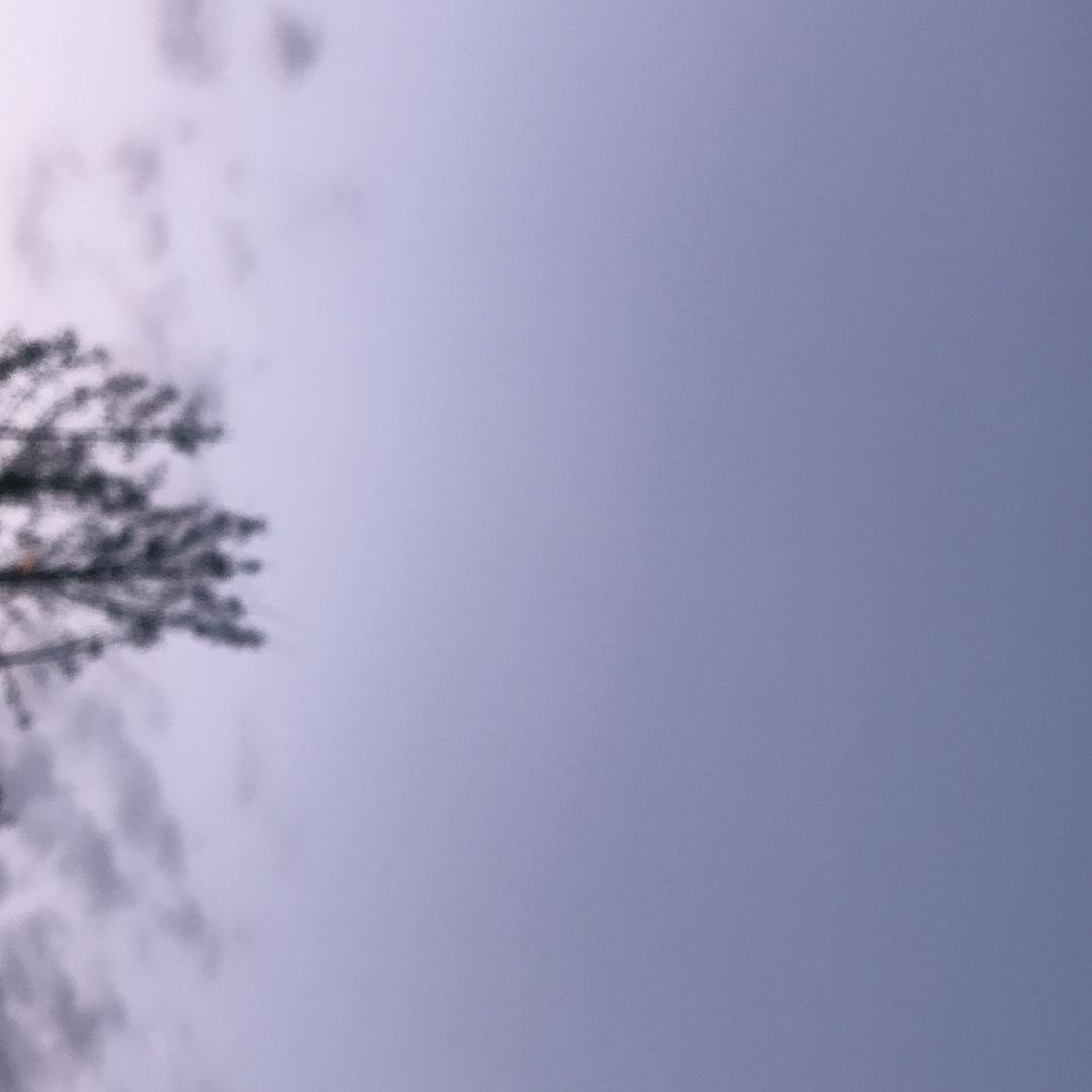 月儿！！