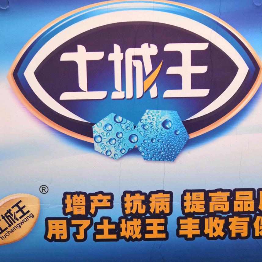 土城王