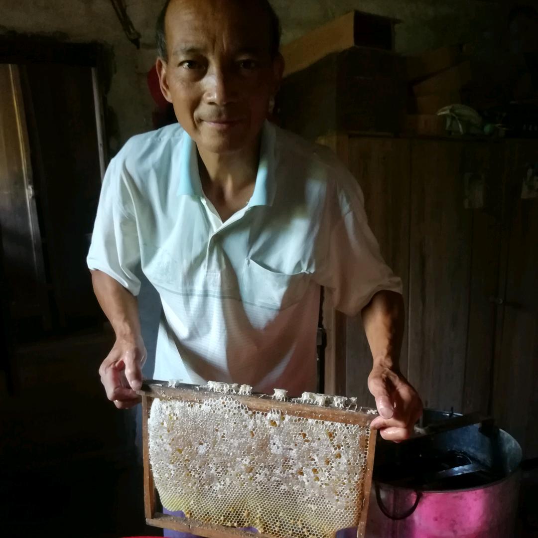 蜂大哥