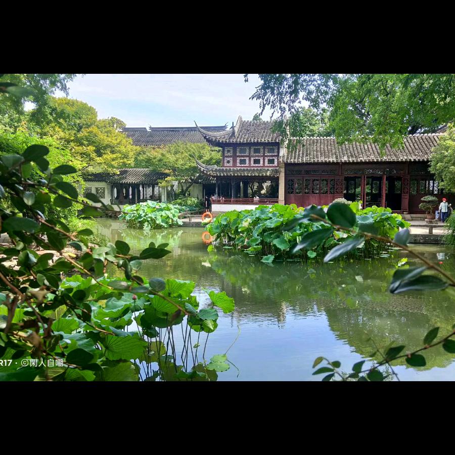 仙仙