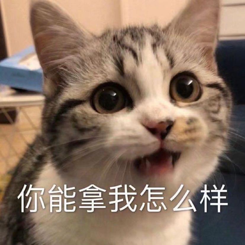小吃才花卷