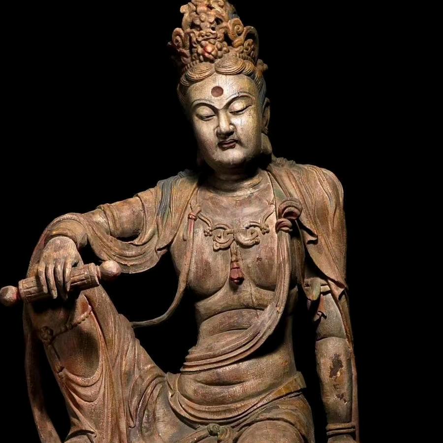 大陆鸽（用心观色）