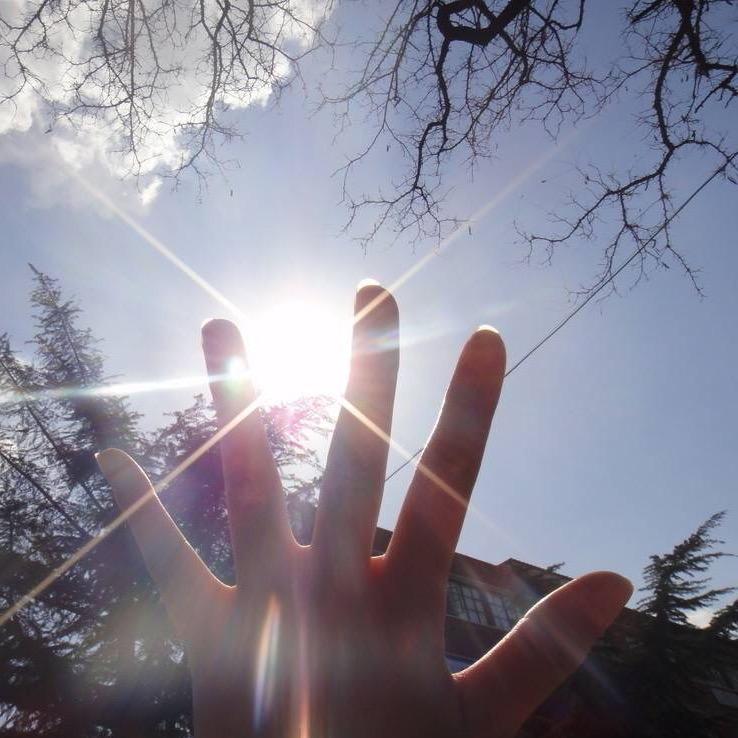 Coffer without sugar