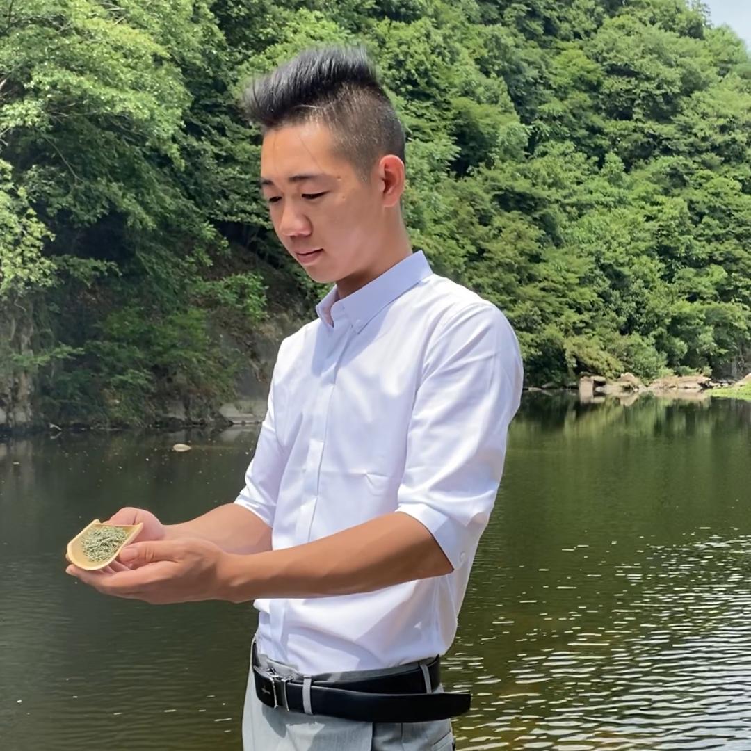 信阳毛尖炒茶小李