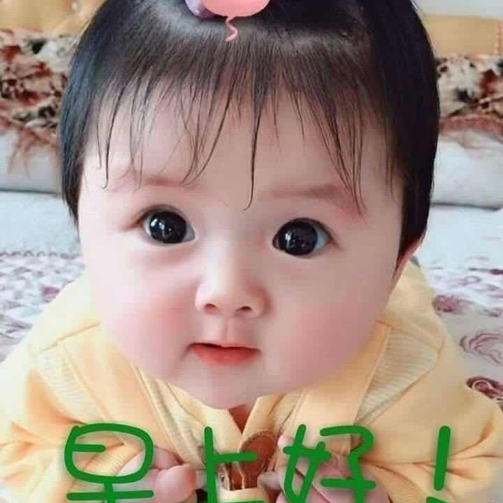 蔡