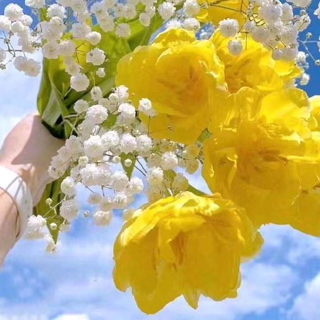 阳光战队⭐️王丽