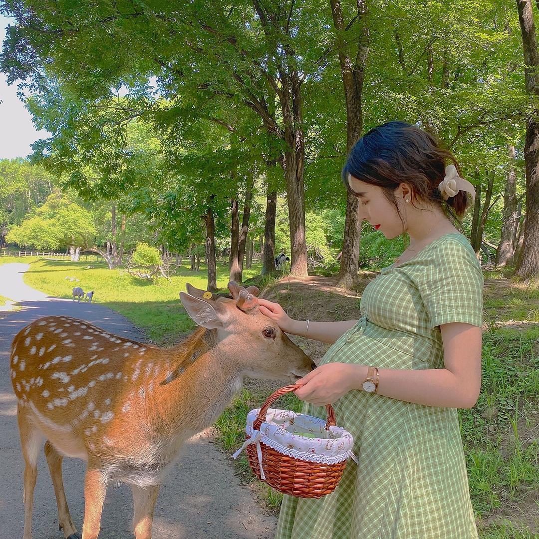 杨先生家的小脑斧 🐯
