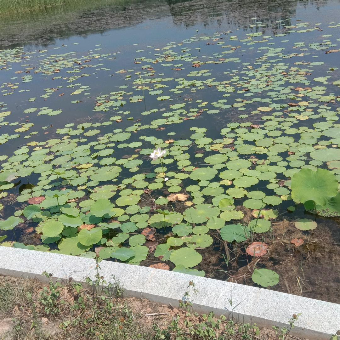 用户5294153734715