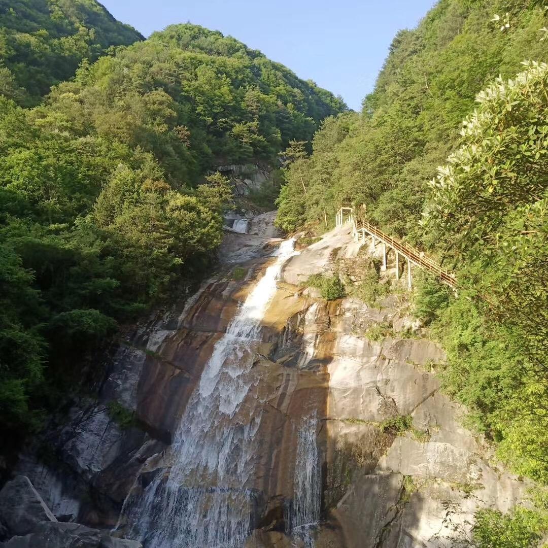 谢树德