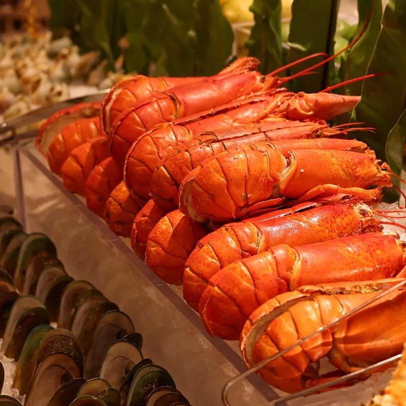 平安绒山羊养殖