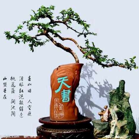 云湖