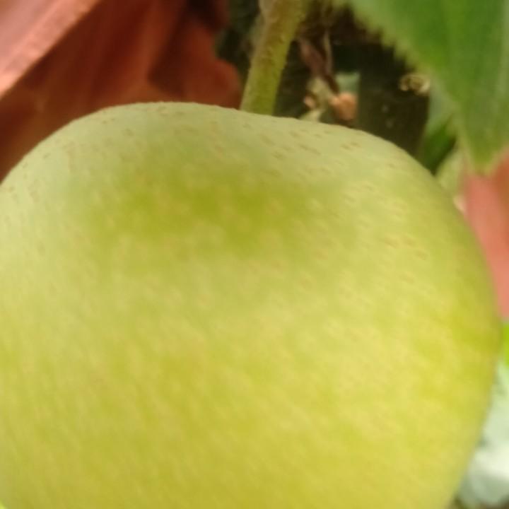 君浩燃8301235635831